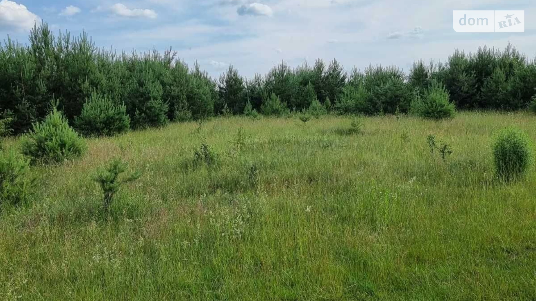 Сдается в аренду земельный участок 9.8972 соток в Львовской области, цена: 37379 грн - фото 2