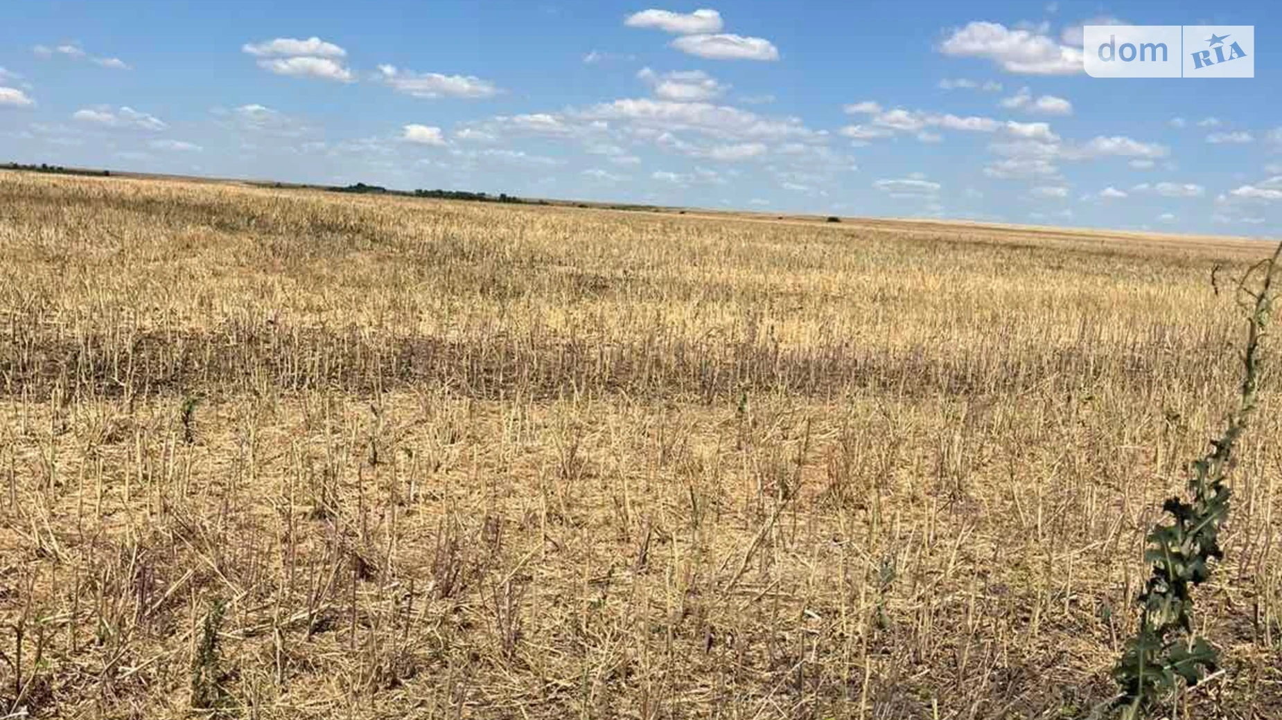 Нове Тарутине, цена: 72349 грн - фото 2