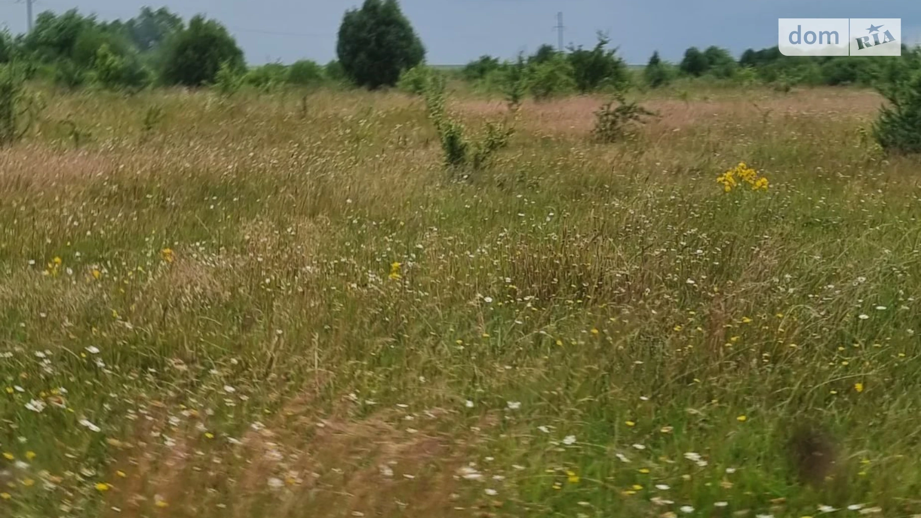 Сдается в аренду земельный участок 6 соток в Львовской области, цена: 12105 грн - фото 2