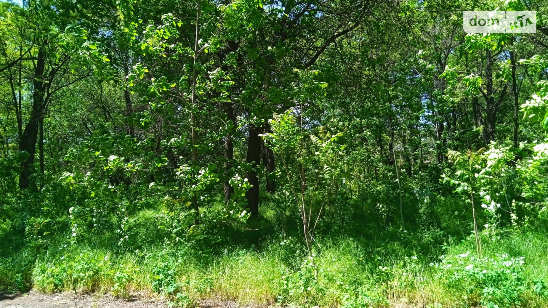 Сдается в аренду земельный участок 0.3 соток в области, цена: 290412 грн - фото 3