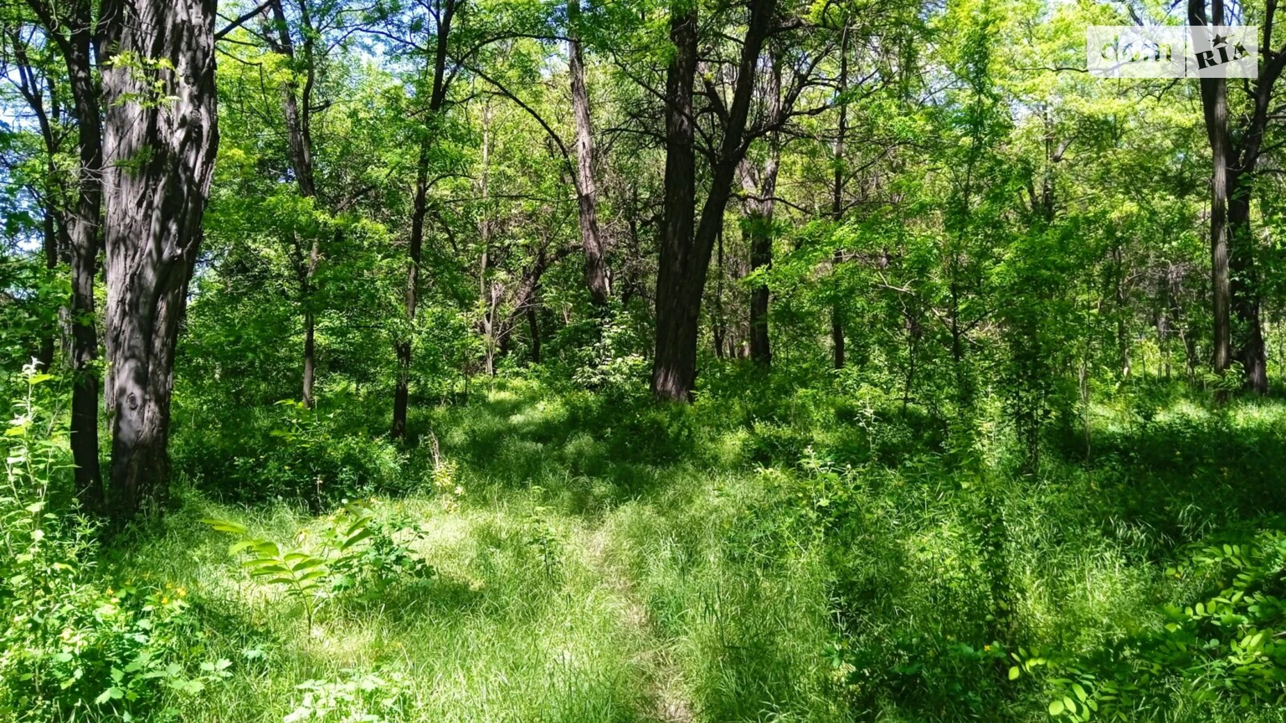 Сдается в аренду земельный участок 0.3 соток в области, цена: 290412 грн - фото 4