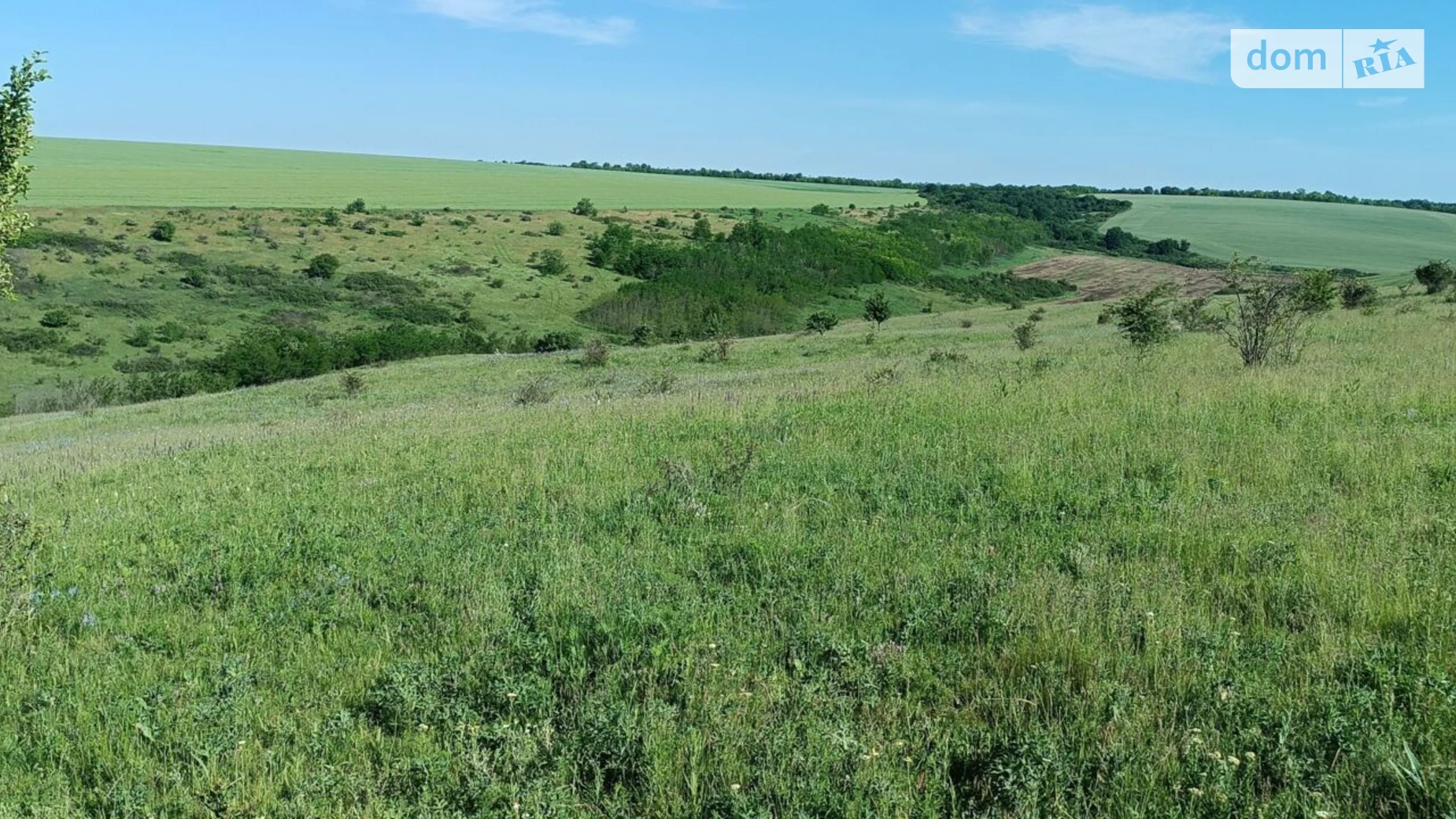 Маяки (Красные Окны), цена: 60468 грн - фото 3