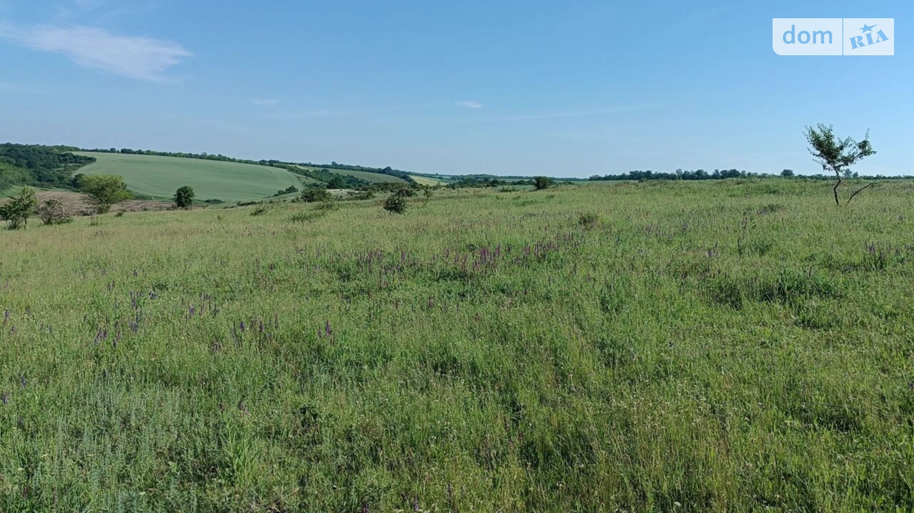 Маяки (Красные Окны), цена: 60468 грн - фото 4