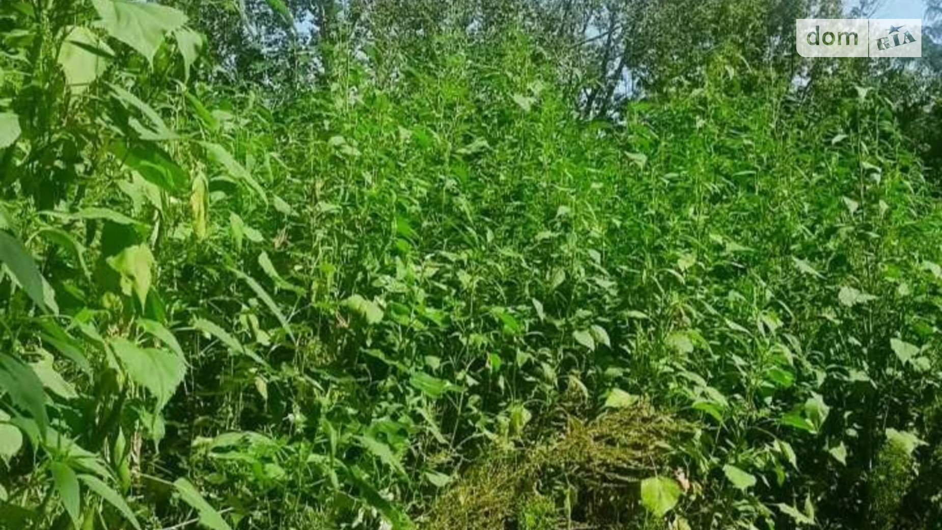 Сдается в аренду земельный участок 0.65 соток в Полтавской области, цена: 199000 грн - фото 2