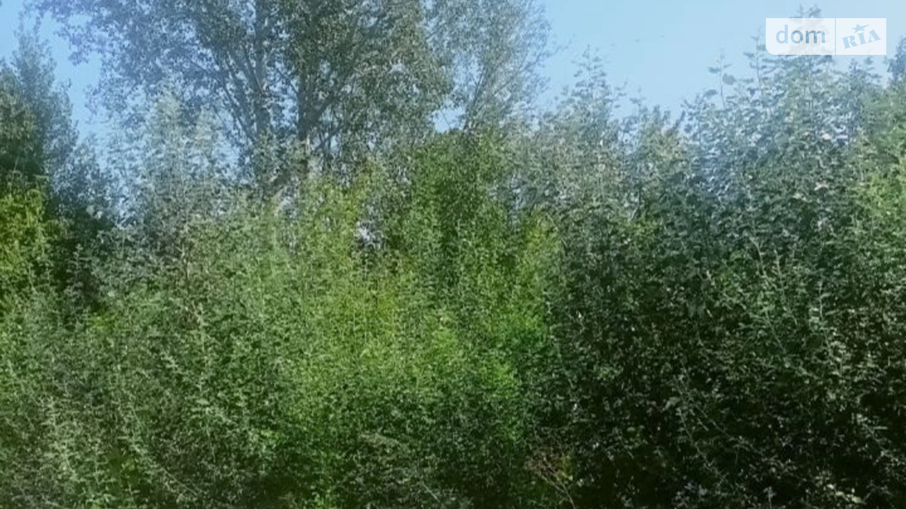 Сдается в аренду земельный участок 0.65 соток в Полтавской области, цена: 199000 грн - фото 3