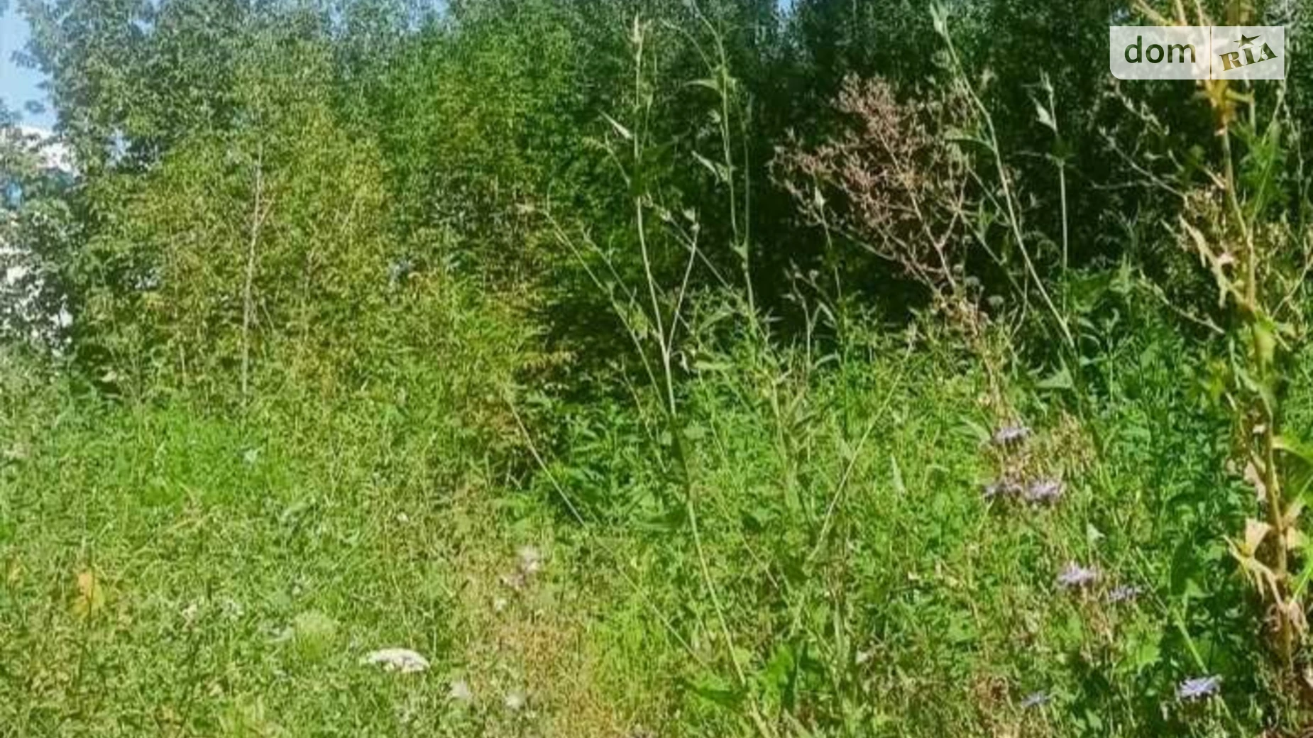 Сдается в аренду земельный участок 0.65 соток в Полтавской области, цена: 199000 грн - фото 4