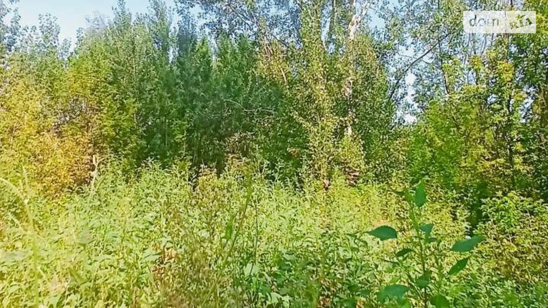 Сдается в аренду земельный участок 0.65 соток в Полтавской области, цена: 199000 грн - фото 5