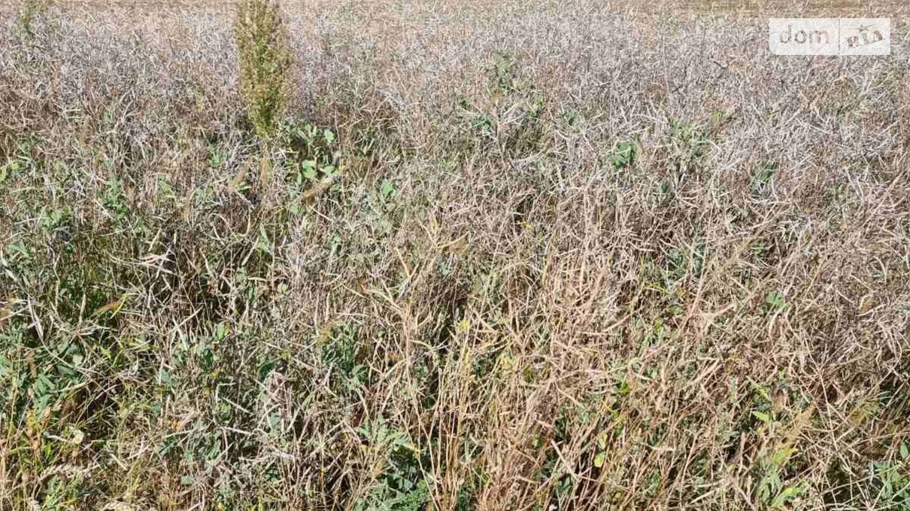 Сдается в аренду земельный участок 3.1274 соток в Львовской области, цена: 15129 грн - фото 2