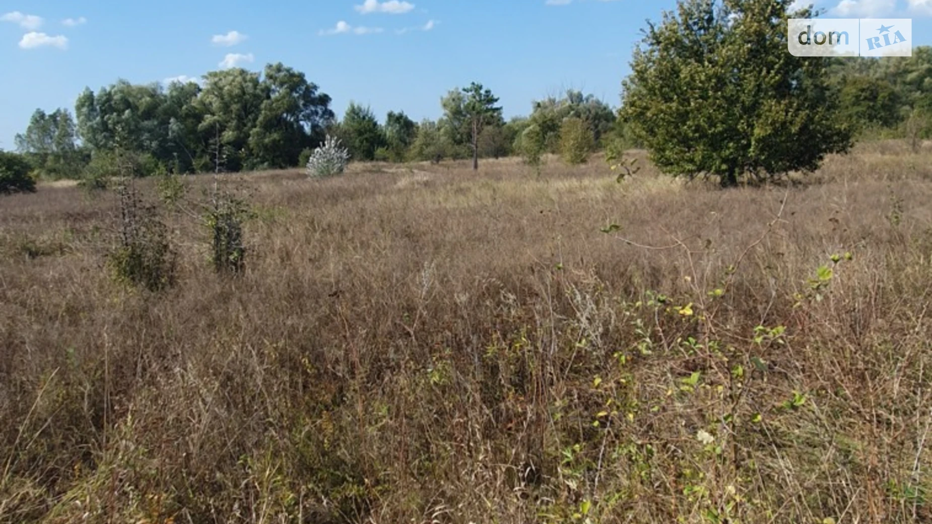 Погребы (Бровары), цена: 100000 $ - фото 2