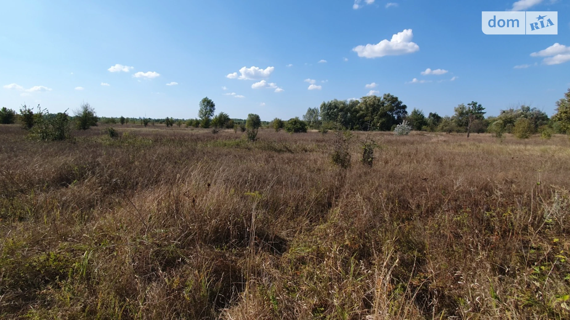 Погребы (Бровары), цена: 100000 $ - фото 3