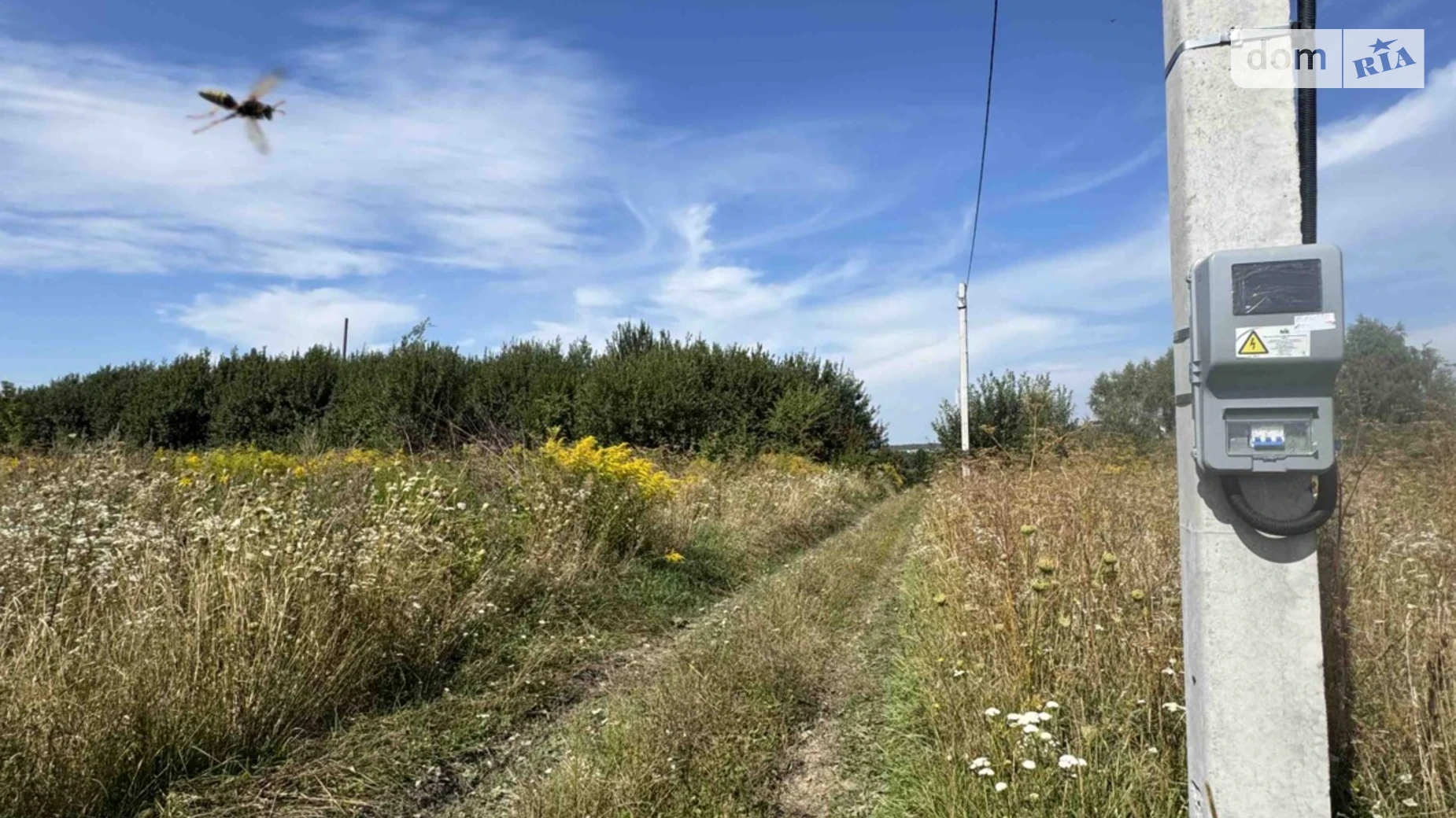 Продается земельный участок 50 соток в Львовской области, цена: 160000 $ - фото 2