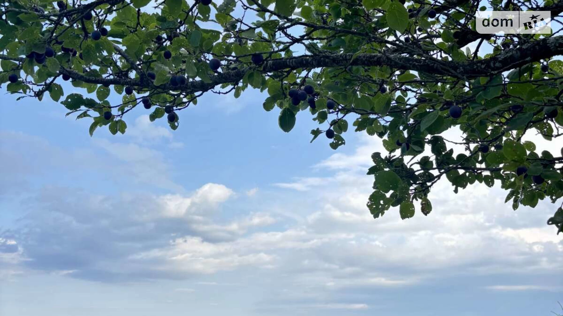 Продается земельный участок 28.02 соток в Ивано-Франковской области, цена: 70000 $ - фото 4