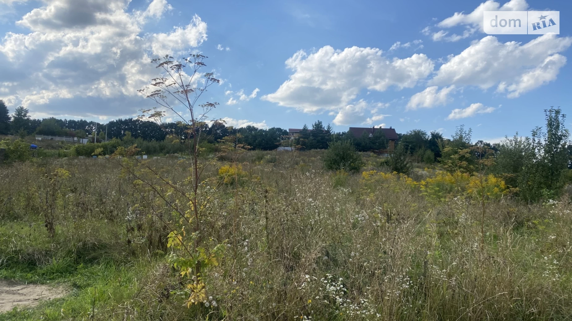 Продается земельный участок 21 соток в Винницкой области, цена: 21000 $ - фото 2