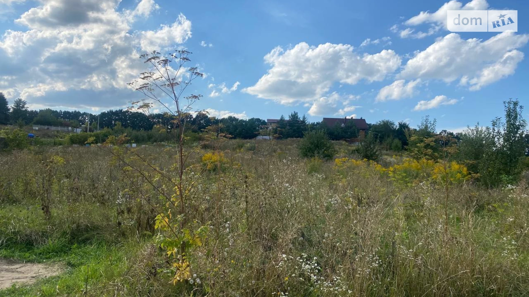 Продается земельный участок 21 соток в Винницкой области, цена: 21000 $ - фото 4