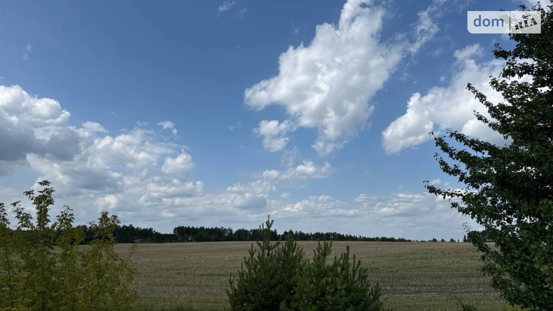 Станишовка, цена: 40000000 грн - фото 2