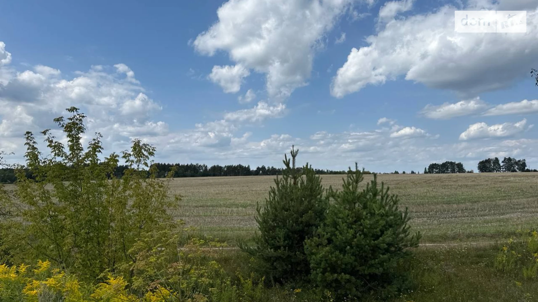 Станишовка, цена: 40000000 грн - фото 3