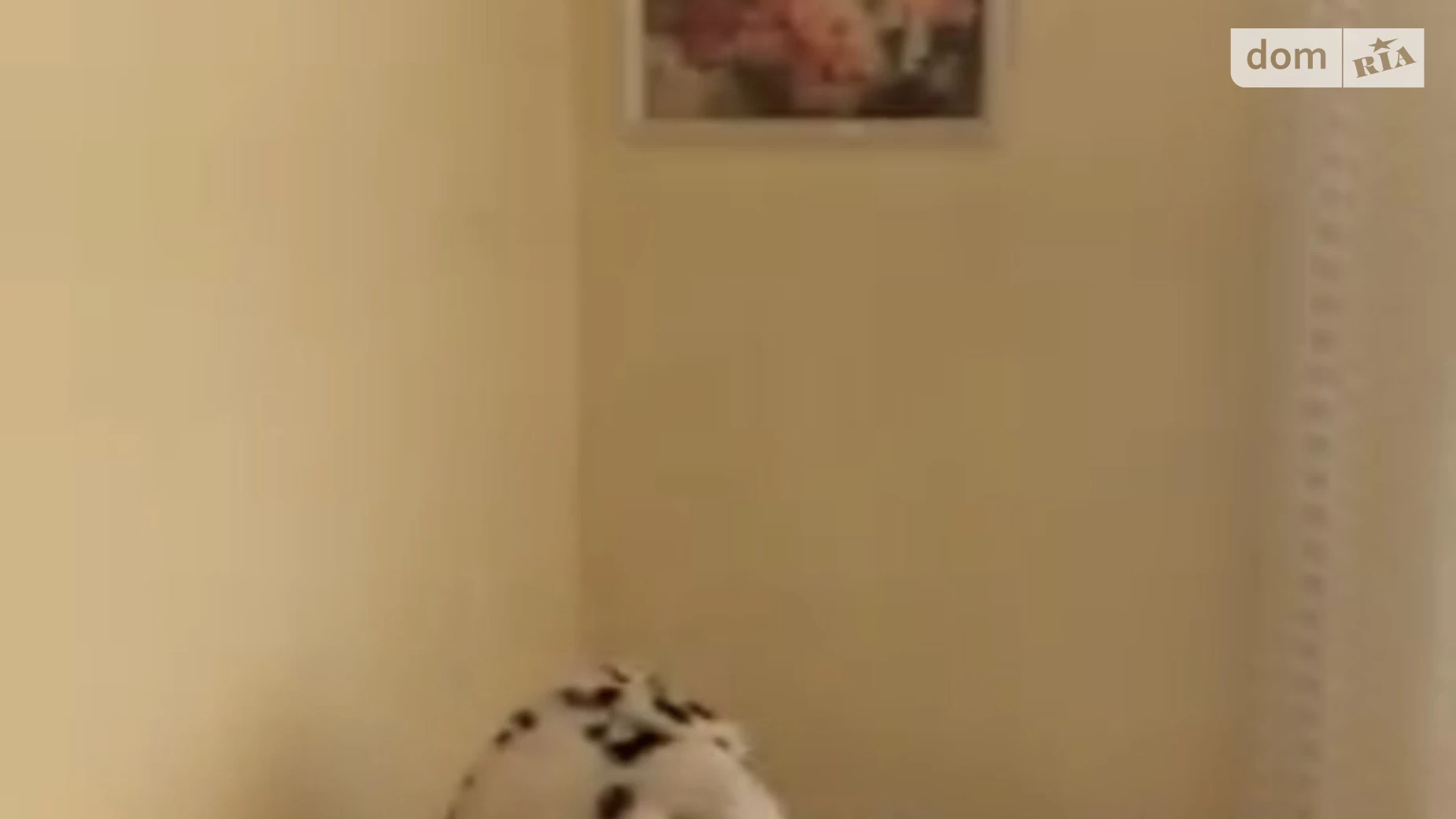 Продается одноэтажный дом 102 кв. м с участком, цена: 48000 $ - фото 5