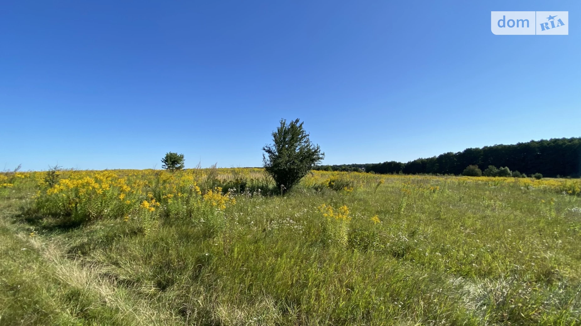 Продается земельный участок 12 соток в Винницкой области, цена: 10000 $ - фото 2