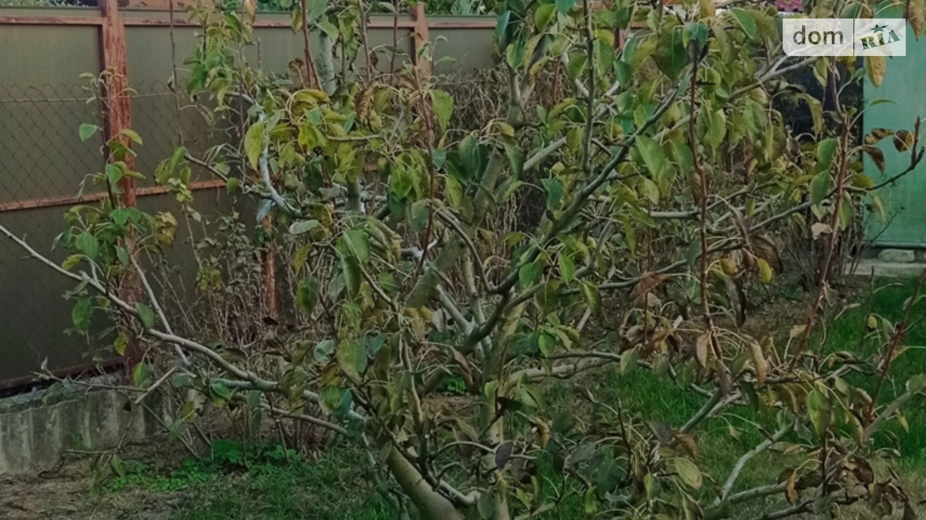 Продается земельный участок 12 соток в Киевской области, цена: 3000 $ - фото 2