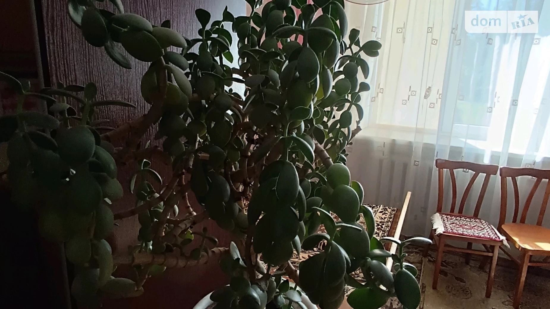 Продается комната 20 кв. м в Хмельницком, цена: 10500 $ - фото 4