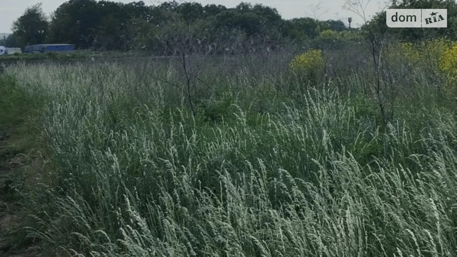 Продается земельный участок 13.21 соток в Винницкой области, цена: 5000 $ - фото 3