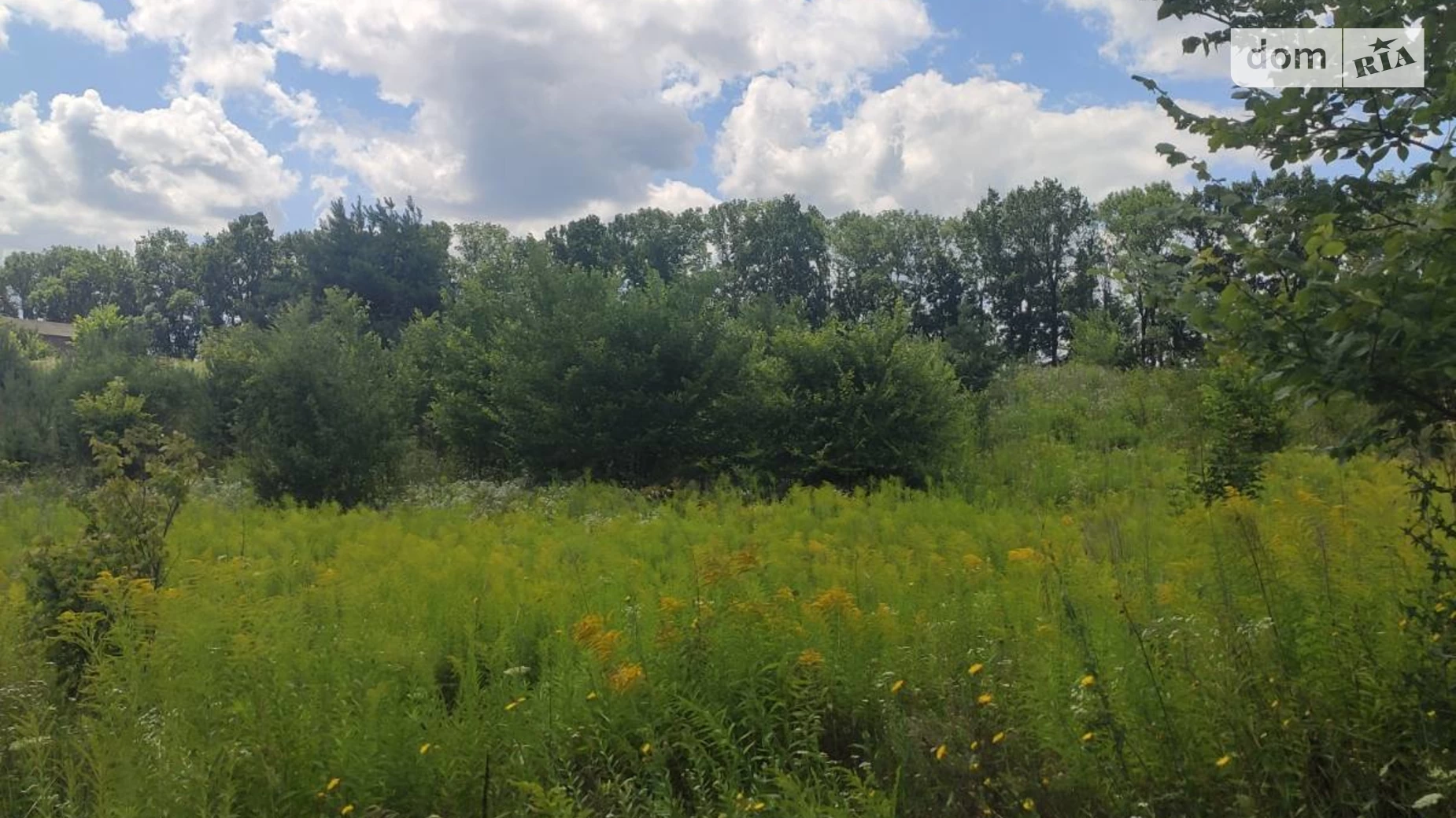 Продается земельный участок 14.97 соток в Винницкой области, цена: 14800 $ - фото 2