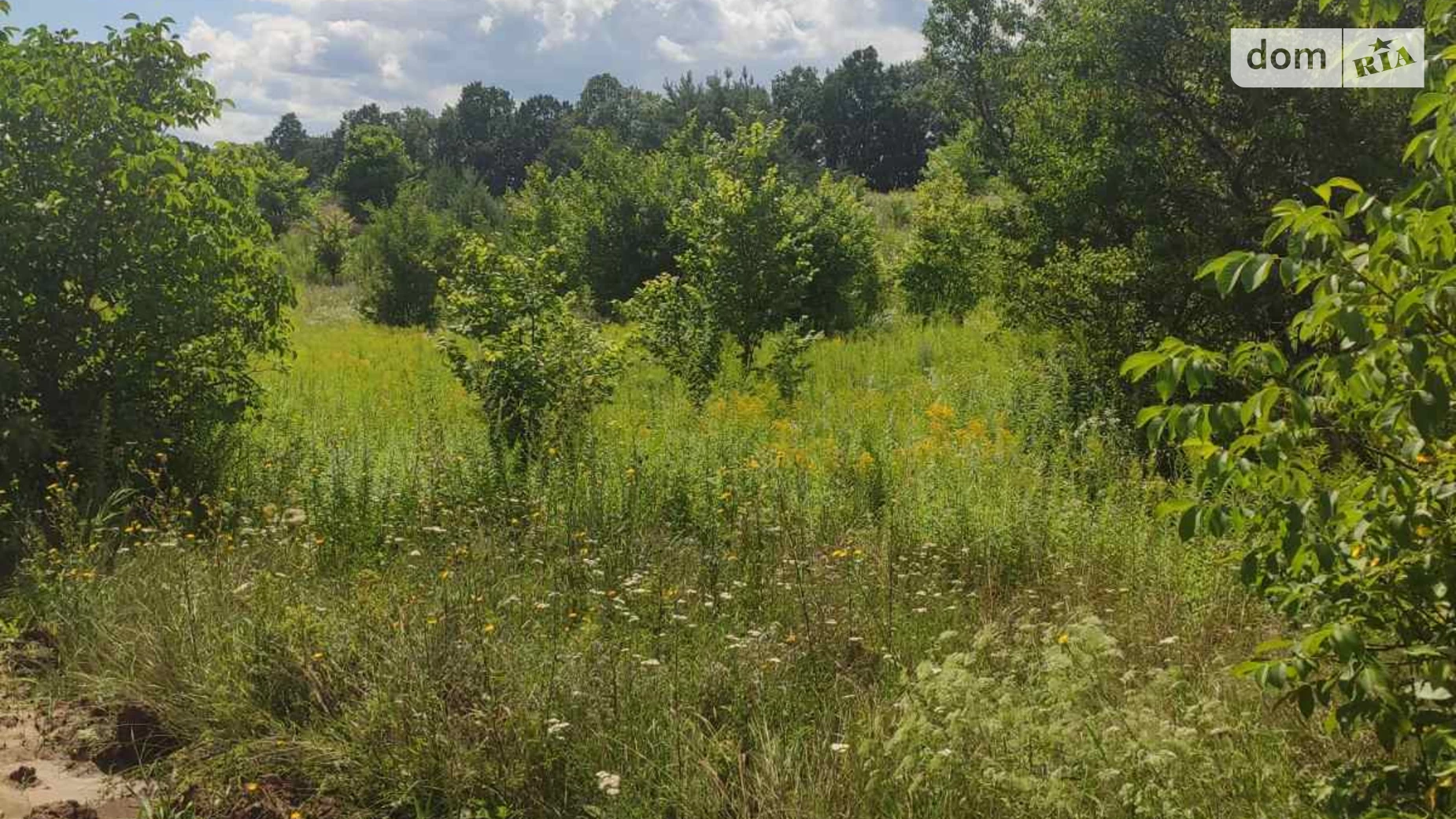 Продается земельный участок 14.97 соток в Винницкой области, цена: 14800 $ - фото 5