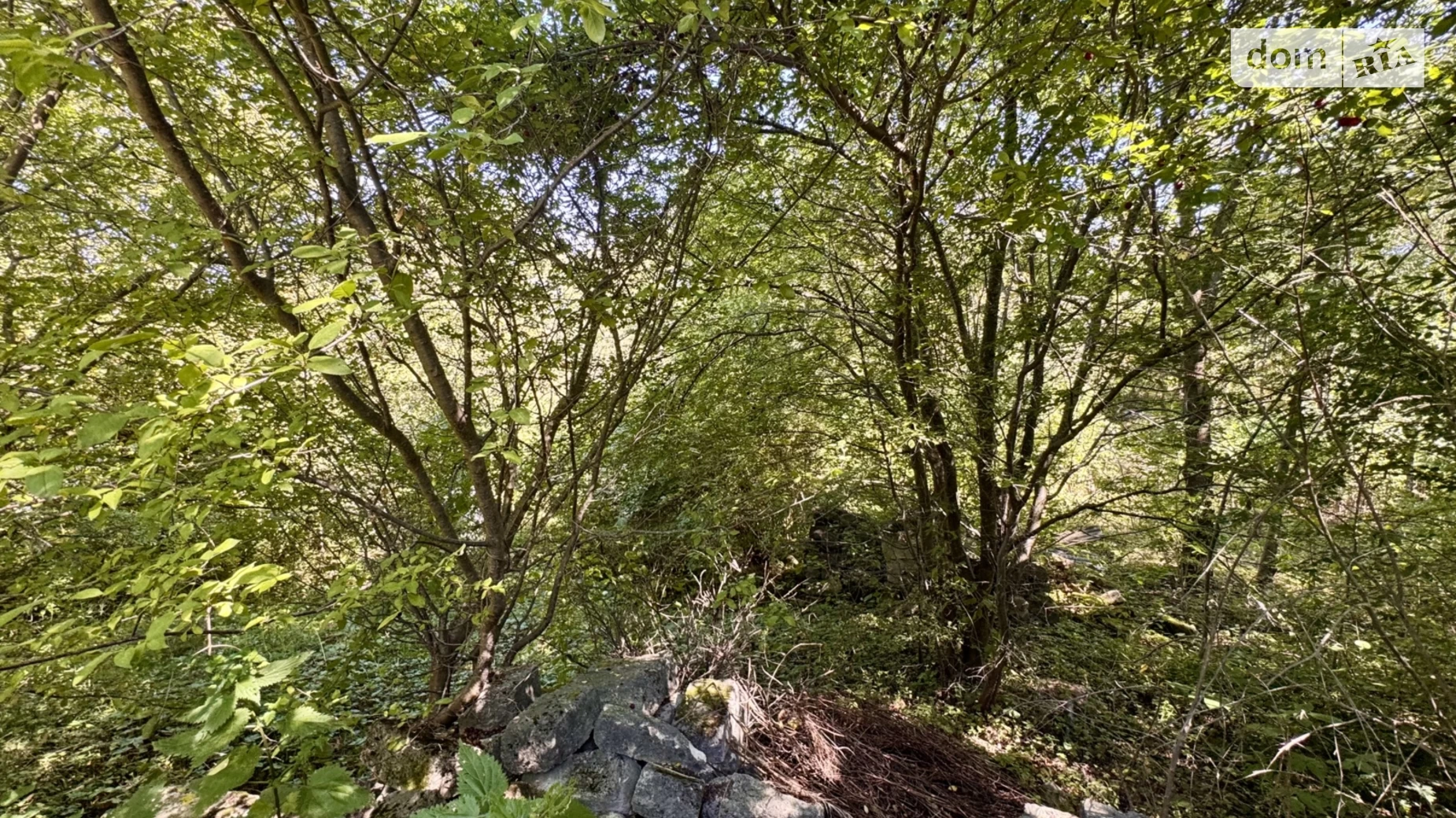 Продается земельный участок 6 соток в Винницкой области, цена: 24900 $ - фото 3