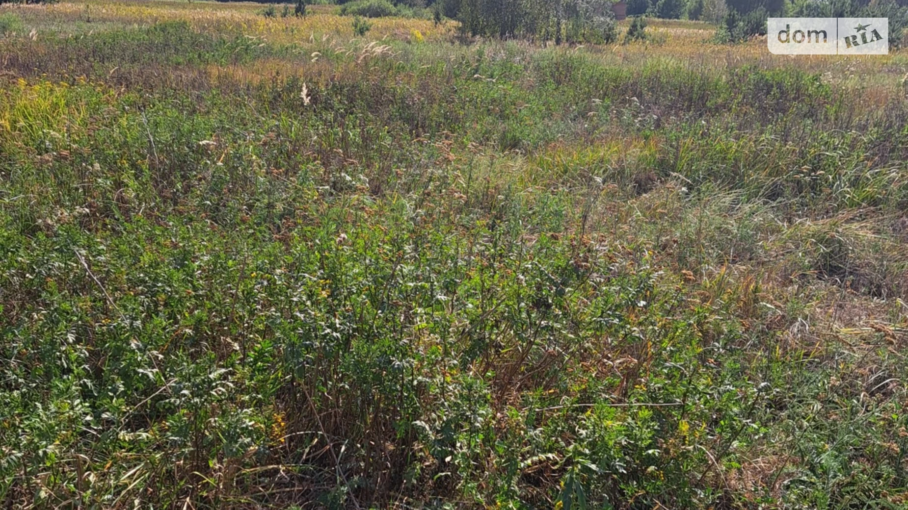 Продається земельна ділянка 15 соток у Полтавській області, цена: 11000 $ - фото 4