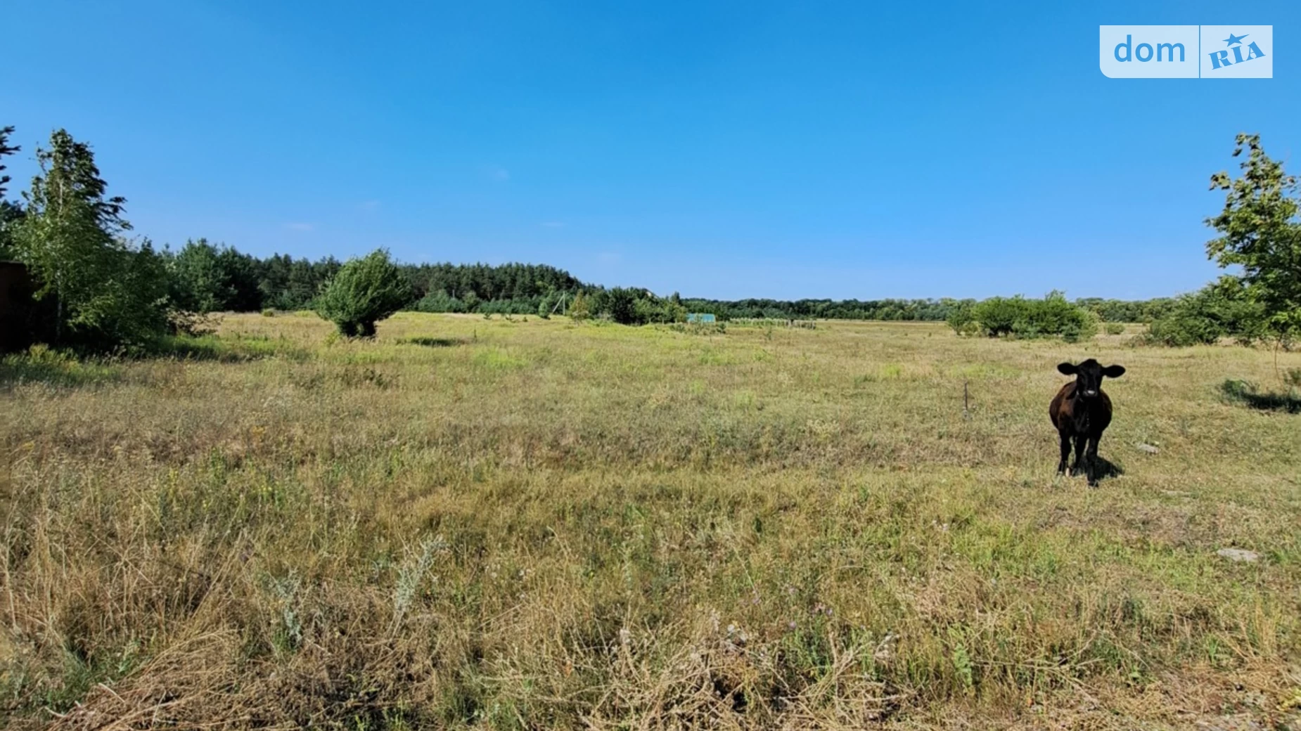 Продається земельна ділянка 24.87 соток у Полтавській області, цена: 15000 $ - фото 2