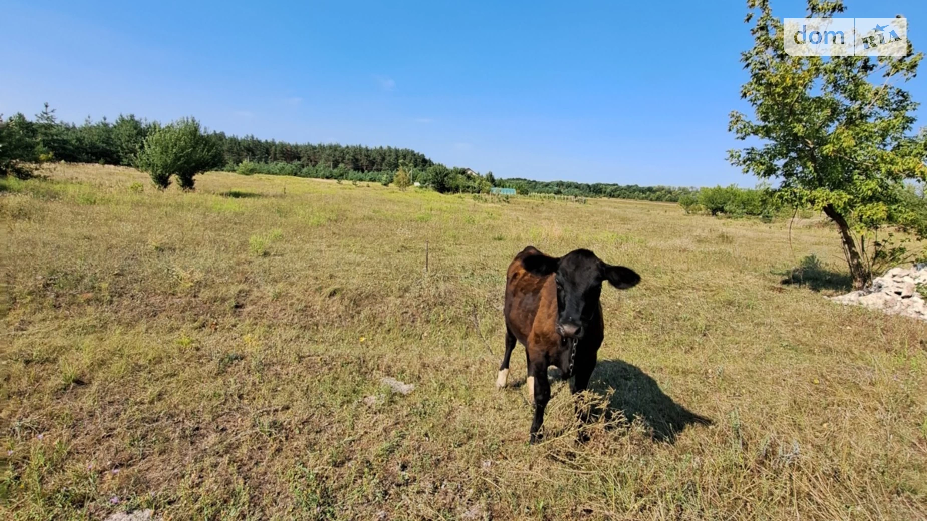 Продається земельна ділянка 24.87 соток у Полтавській області, цена: 15000 $ - фото 3