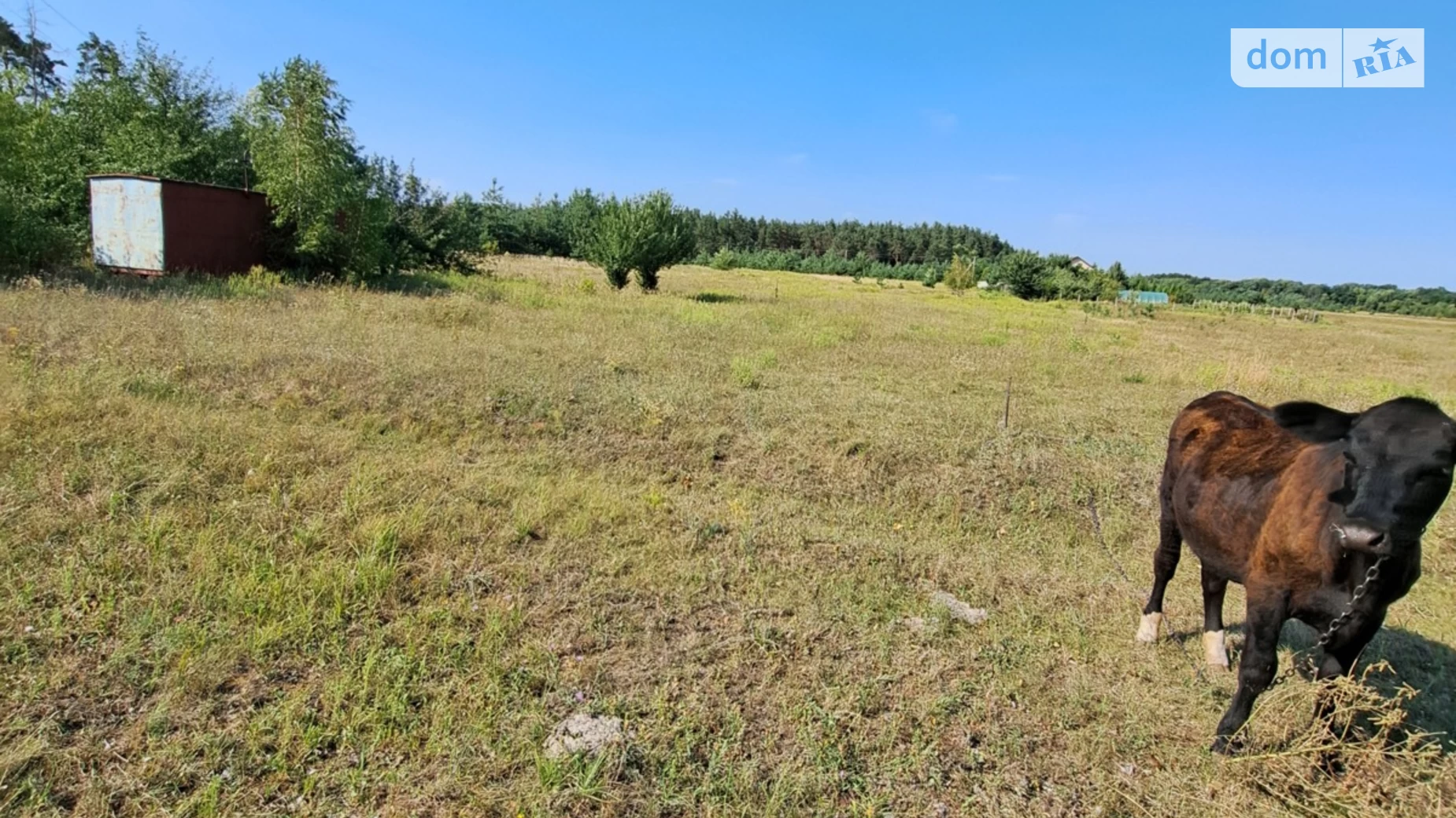 Продається земельна ділянка 24.87 соток у Полтавській області, цена: 15000 $ - фото 4