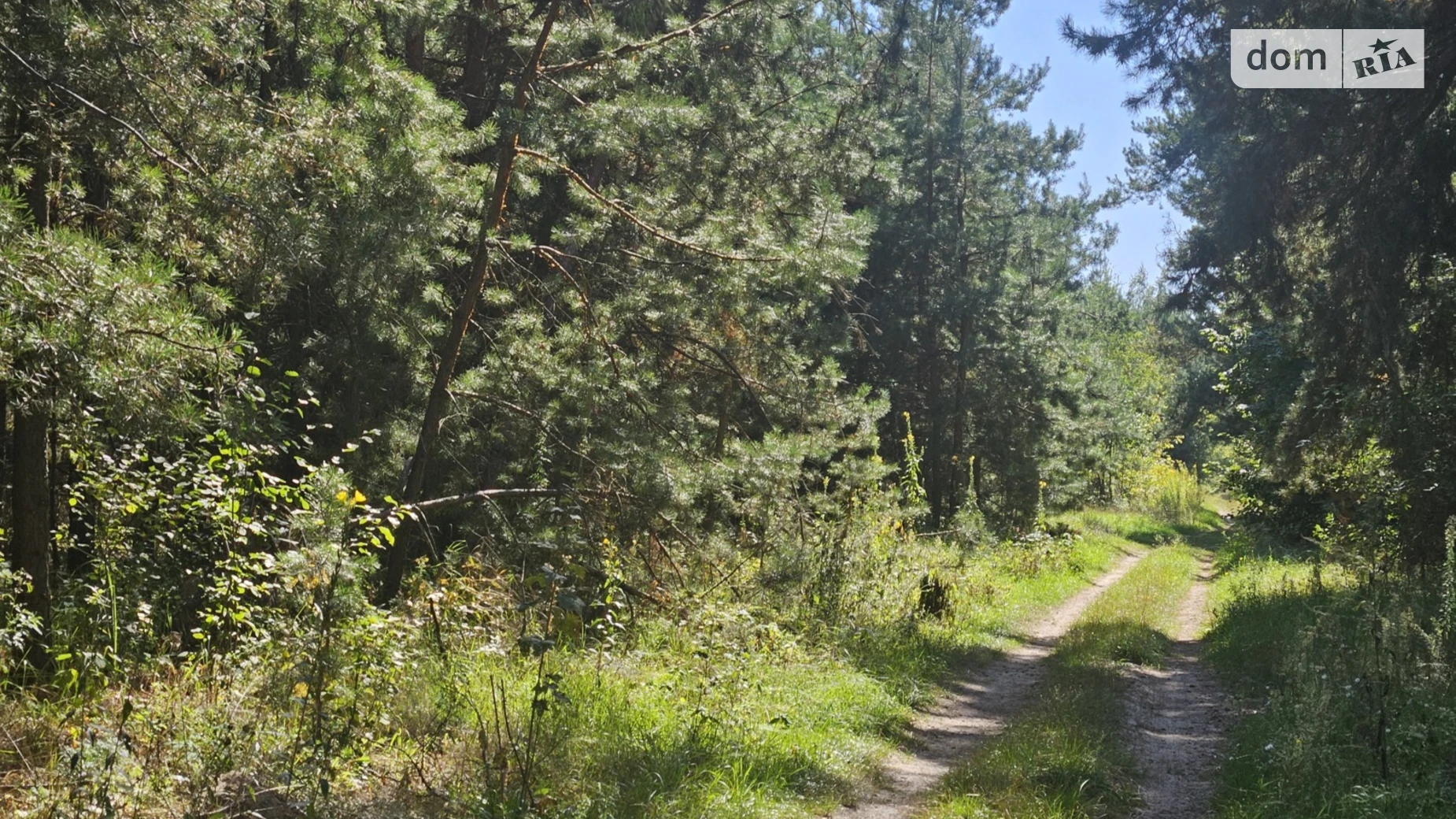 Продается земельный участок 15 соток в Киевской области, цена: 18000 $ - фото 2