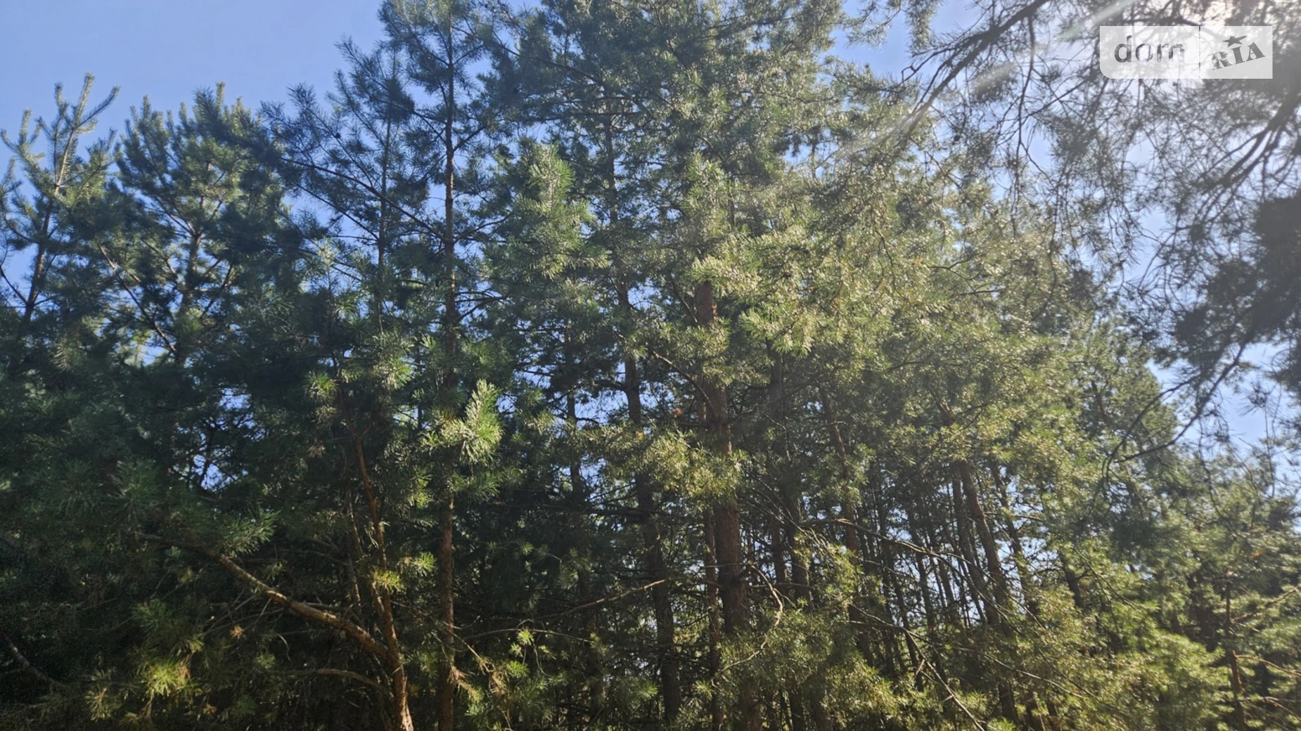 Продается земельный участок 15 соток в Киевской области, цена: 18000 $ - фото 5