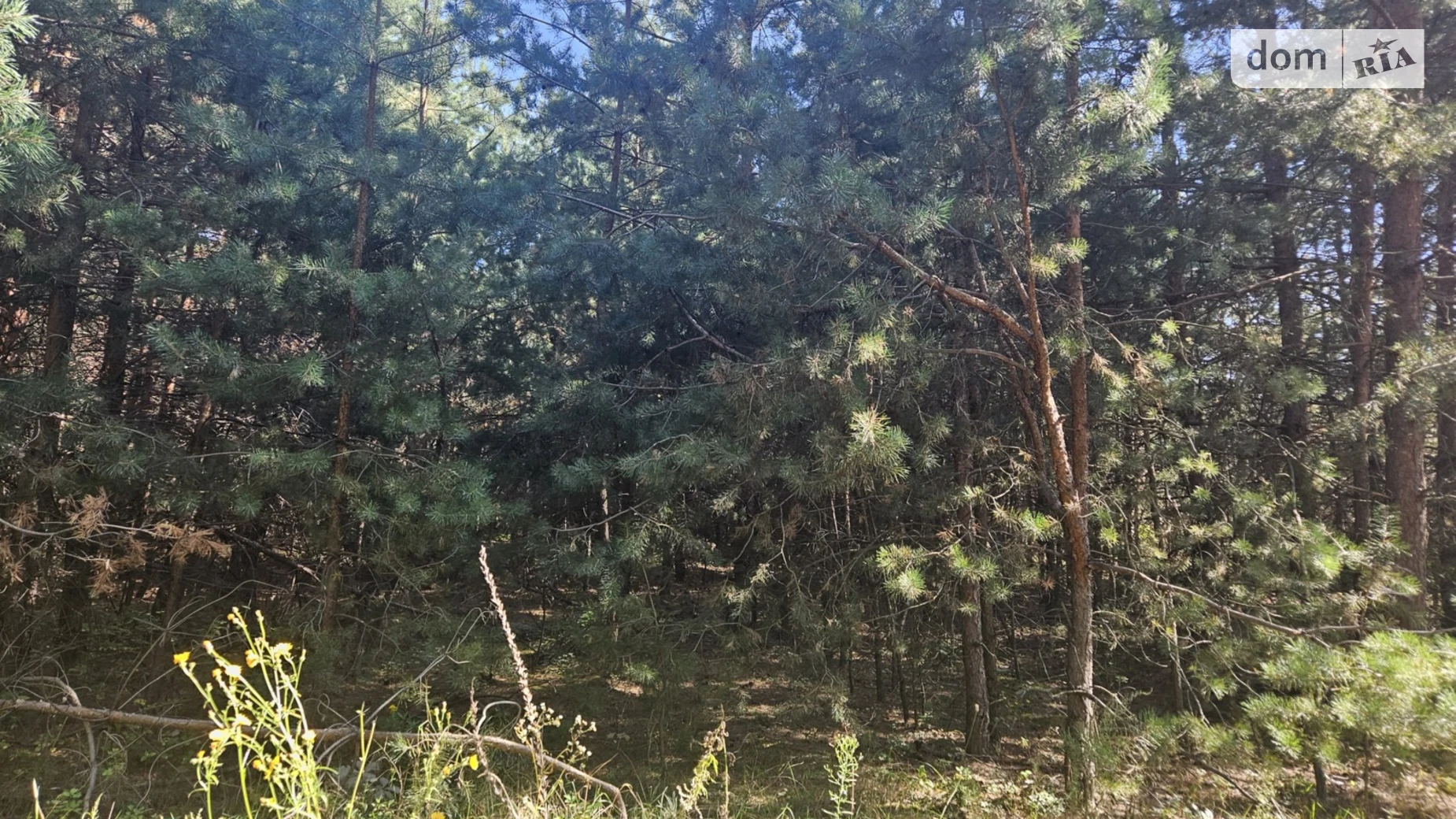 Продается земельный участок 15 соток в Киевской области, цена: 18000 $ - фото 4