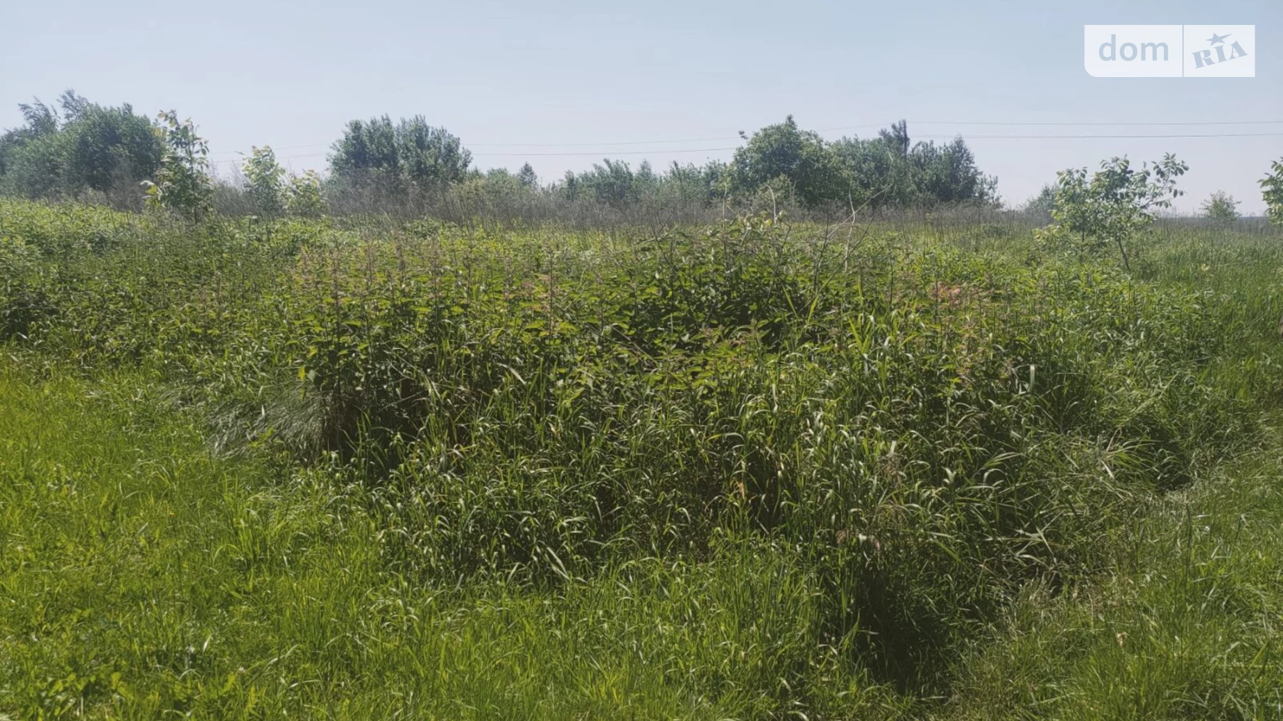 Продается земельный участок 9.64 соток в Львовской области, цена: 25900 $ - фото 2