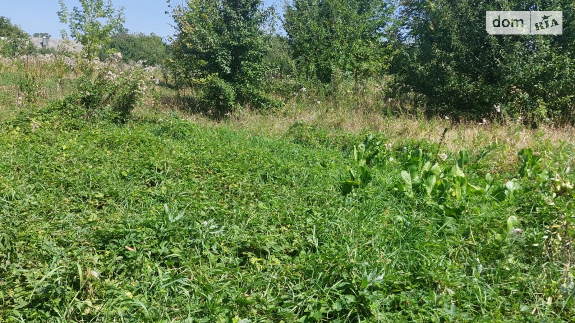 Продается земельный участок 48 соток в Винницкой области, цена: 42000 $ - фото 3