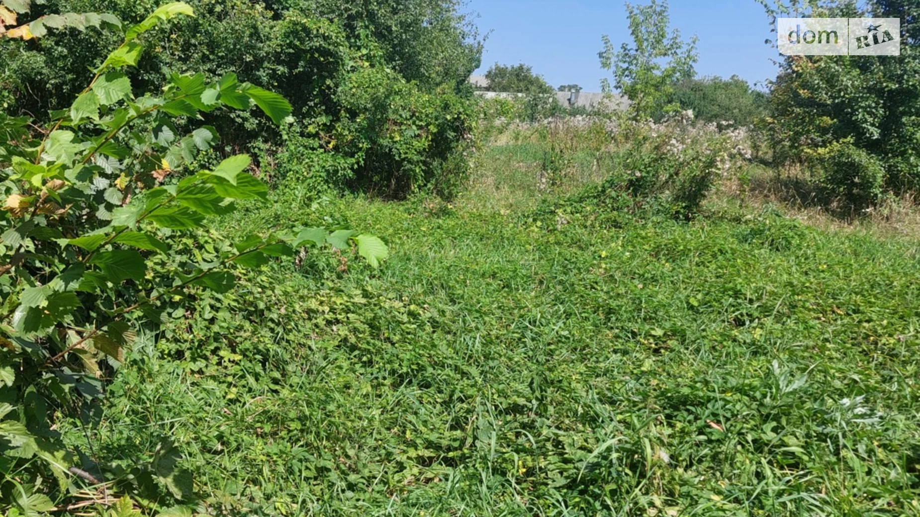 Продается земельный участок 48 соток в Винницкой области, цена: 42000 $ - фото 4