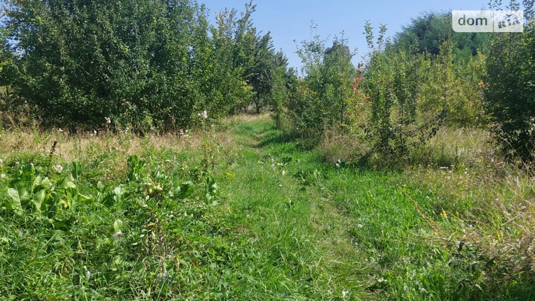 Продается земельный участок 48 соток в Винницкой области, цена: 42000 $ - фото 5