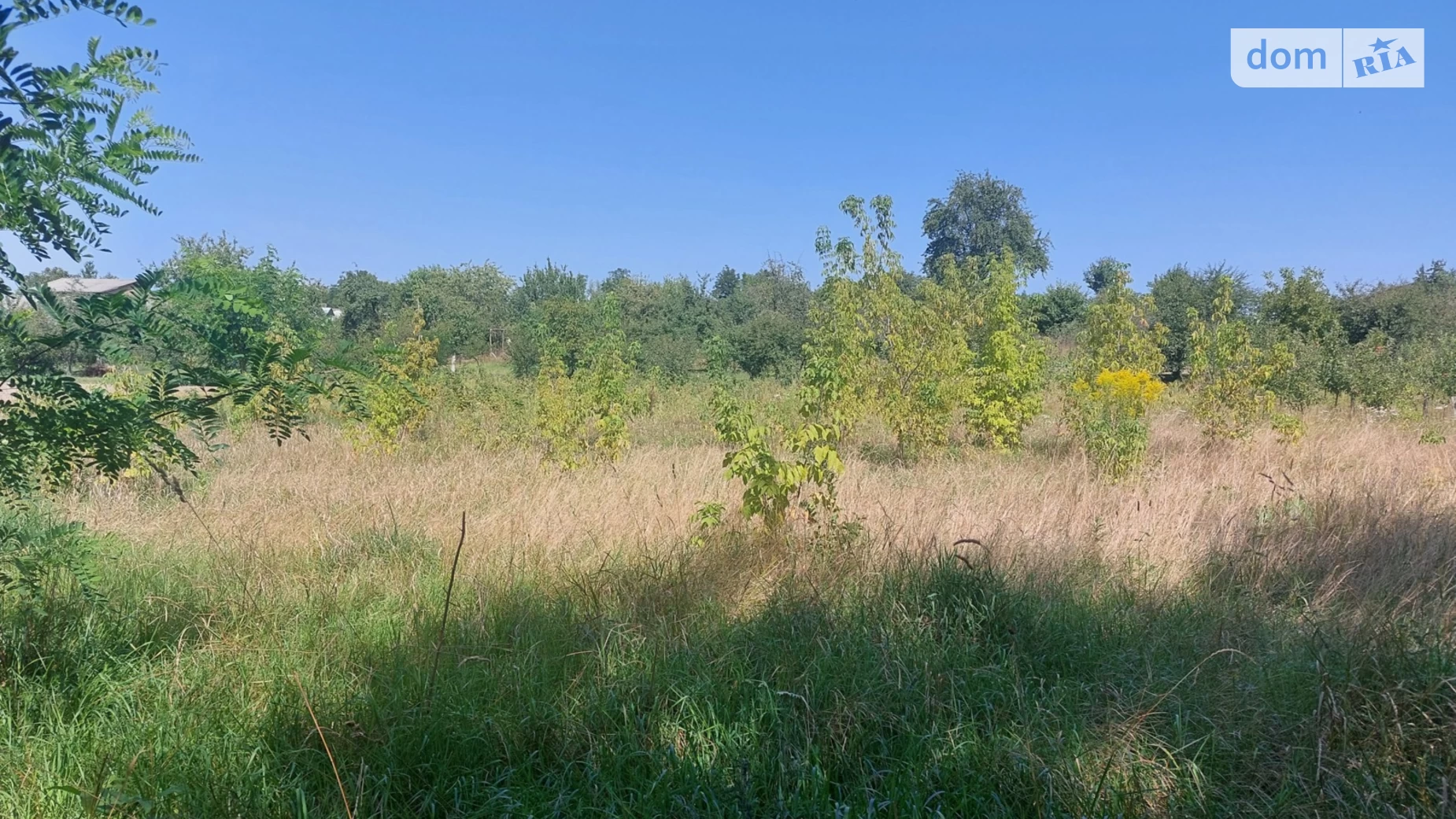 Продается земельный участок 48 соток в Винницкой области, цена: 42000 $ - фото 2