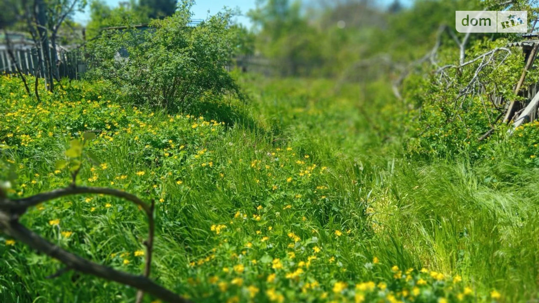 вул. Зелена гірка Чорноморка Одеса, цена: 44000 $ - фото 3