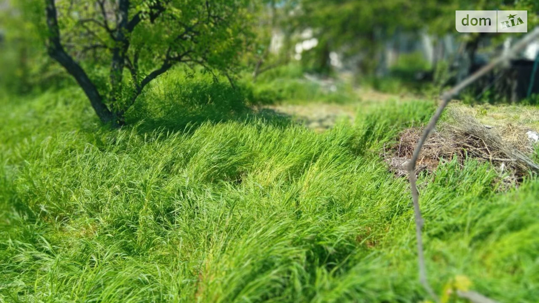 вул. Зелена гірка Чорноморка Одеса, цена: 44000 $ - фото 2