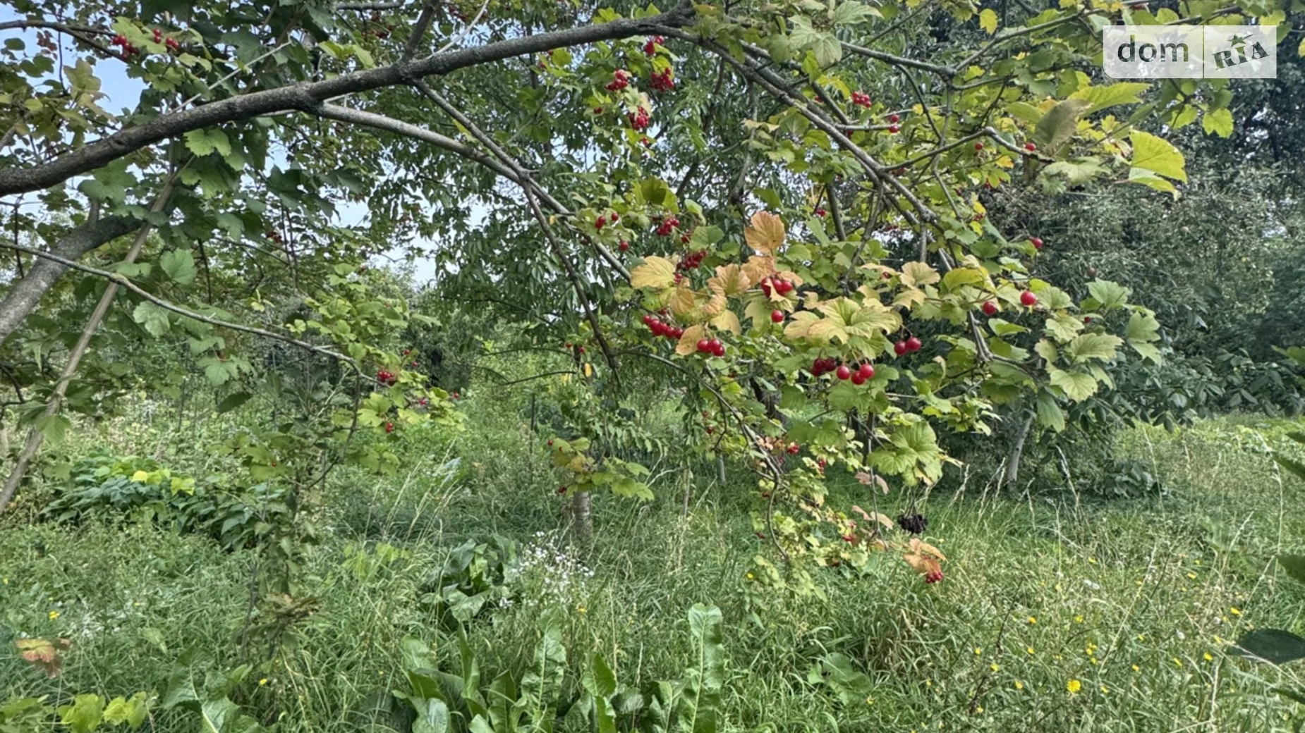 Продается земельный участок 24 соток в Винницкой области, цена: 25500 $ - фото 4