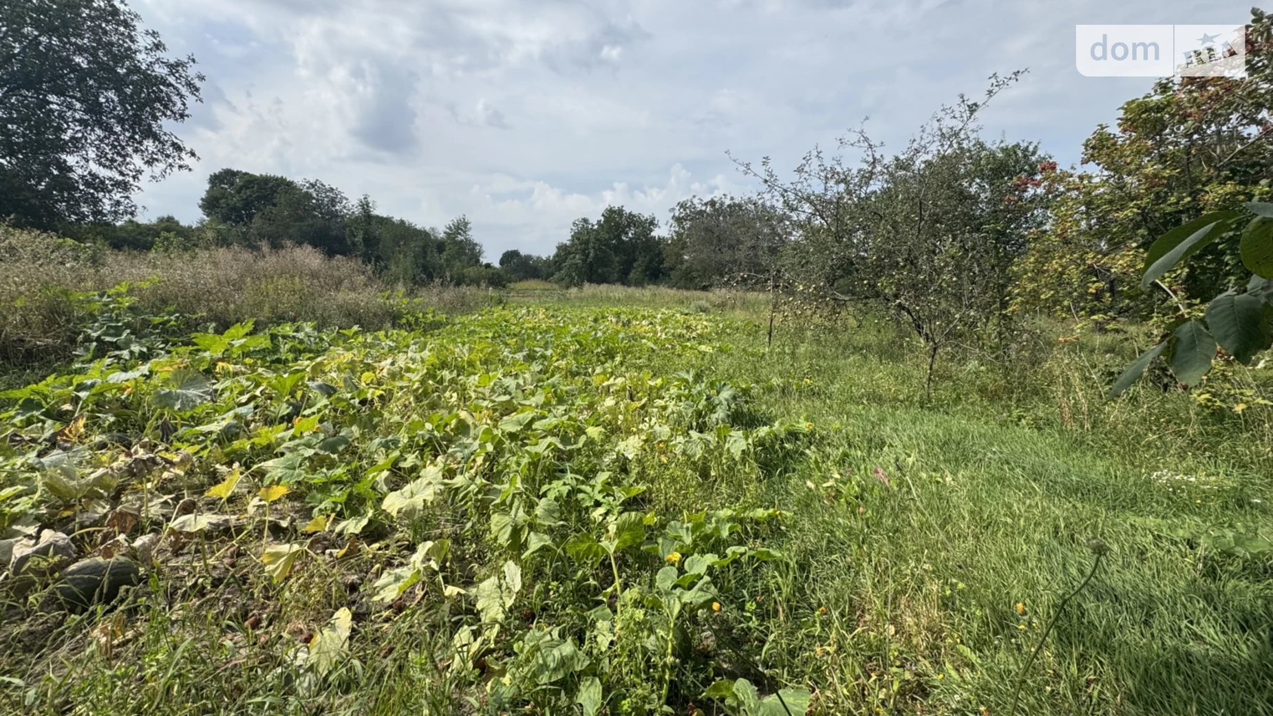 Продается земельный участок 24 соток в Винницкой области, цена: 25500 $ - фото 2