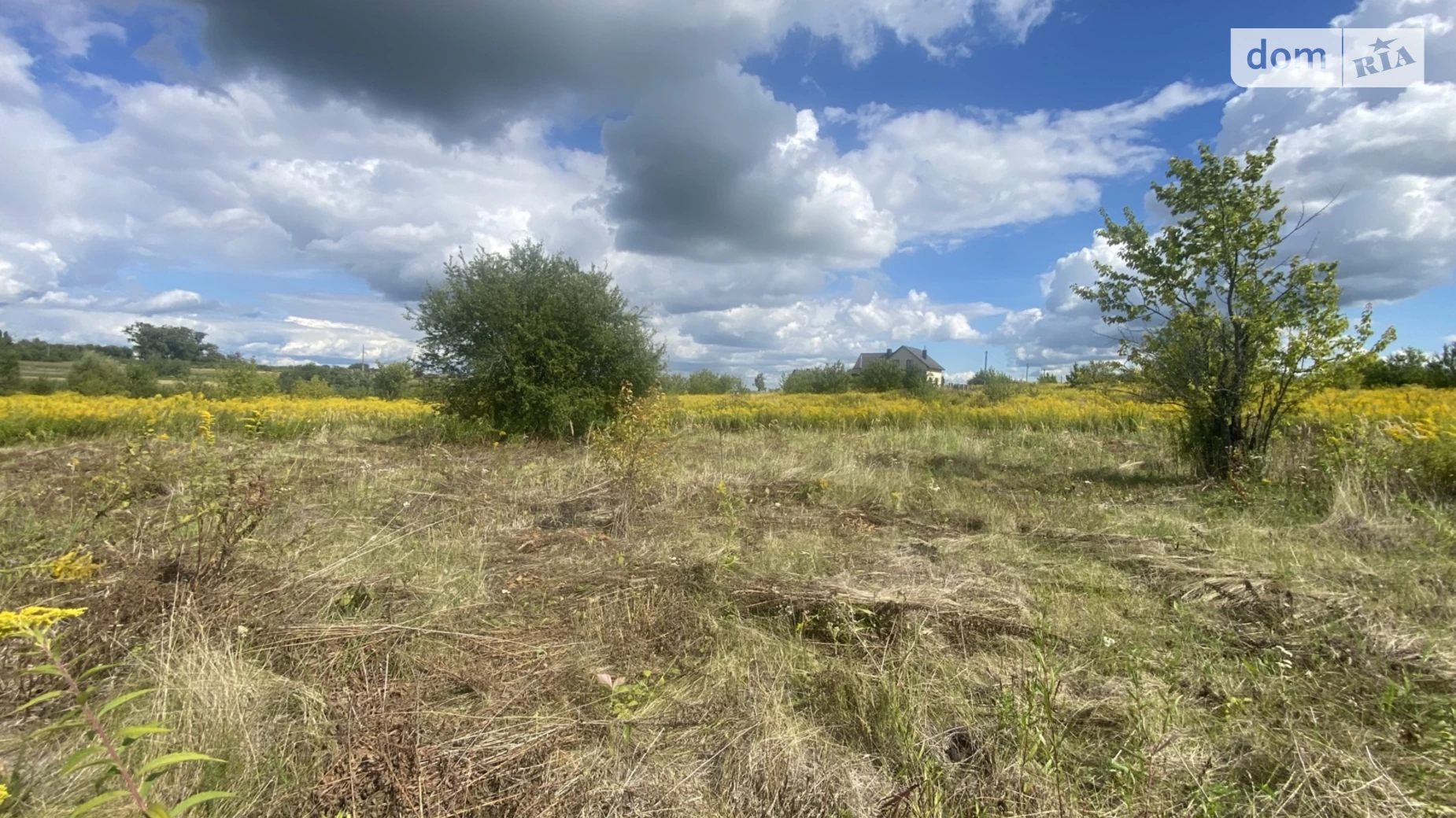 Продается земельный участок 10 соток в Ровенской области, цена: 6500 $ - фото 4