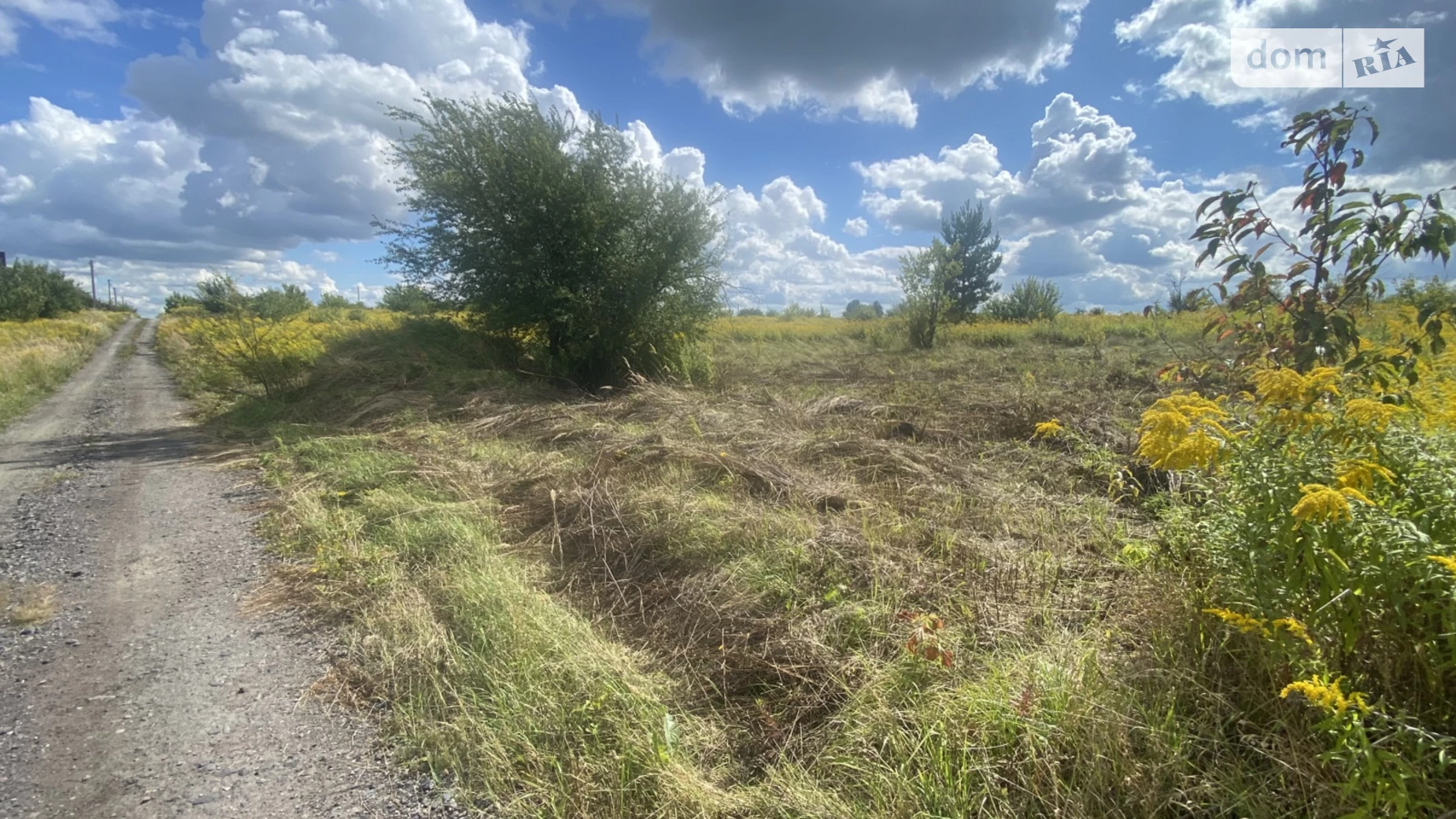 Продается земельный участок 10 соток в Ровенской области, цена: 6500 $ - фото 5
