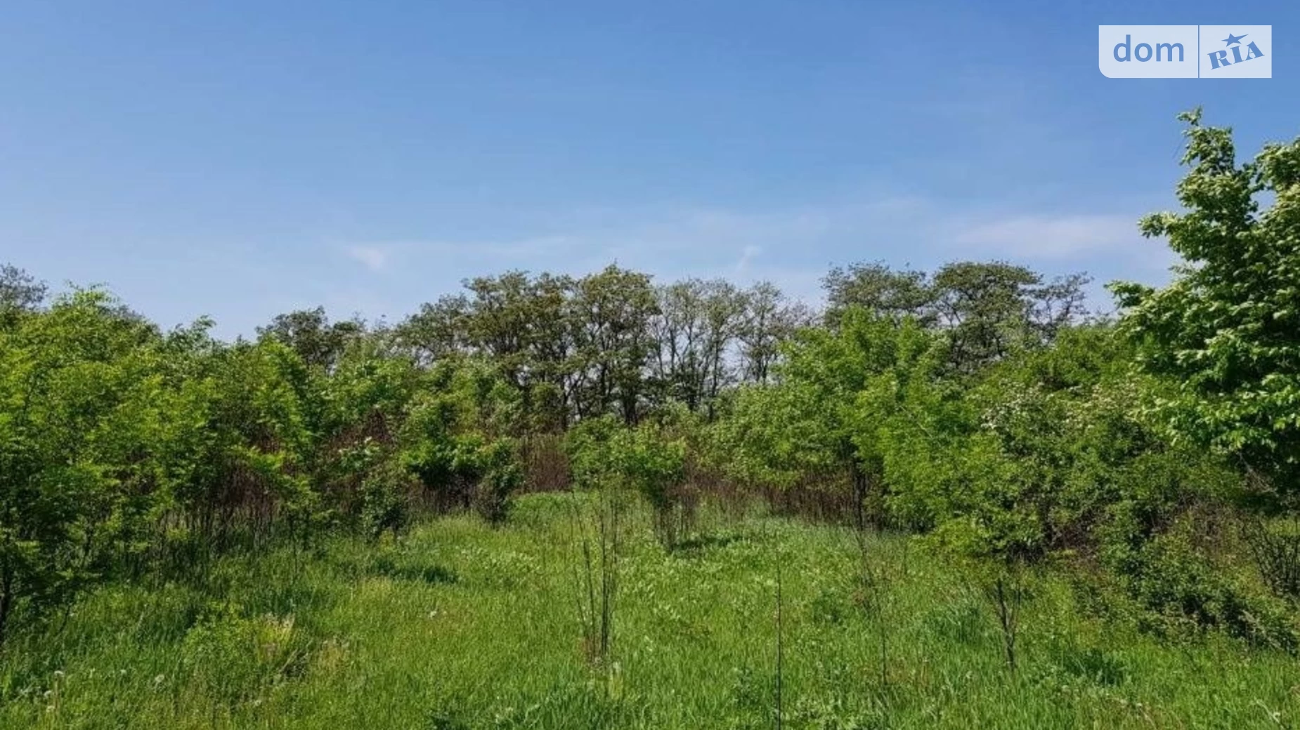 Продается земельный участок 10 соток в Полтавской области, цена: 20000 $ - фото 2