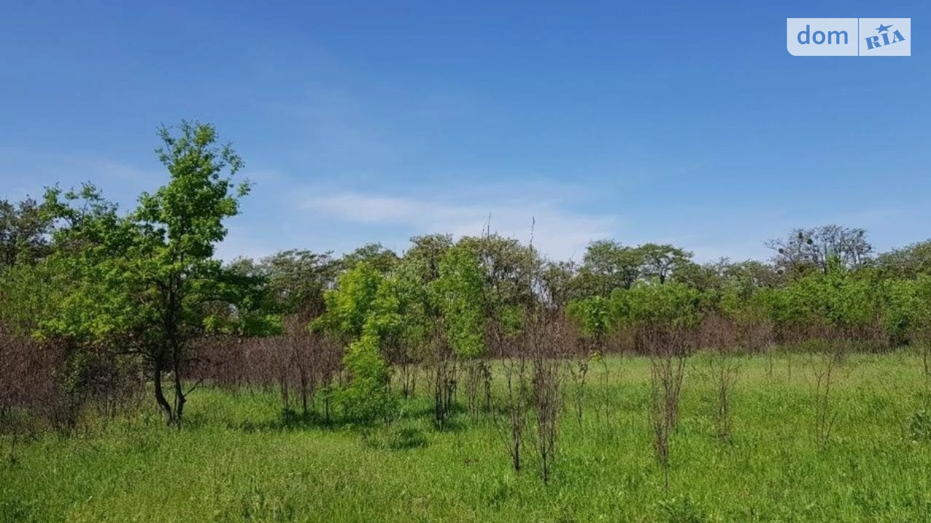 Продается земельный участок 10 соток в Полтавской области, цена: 20000 $ - фото 3