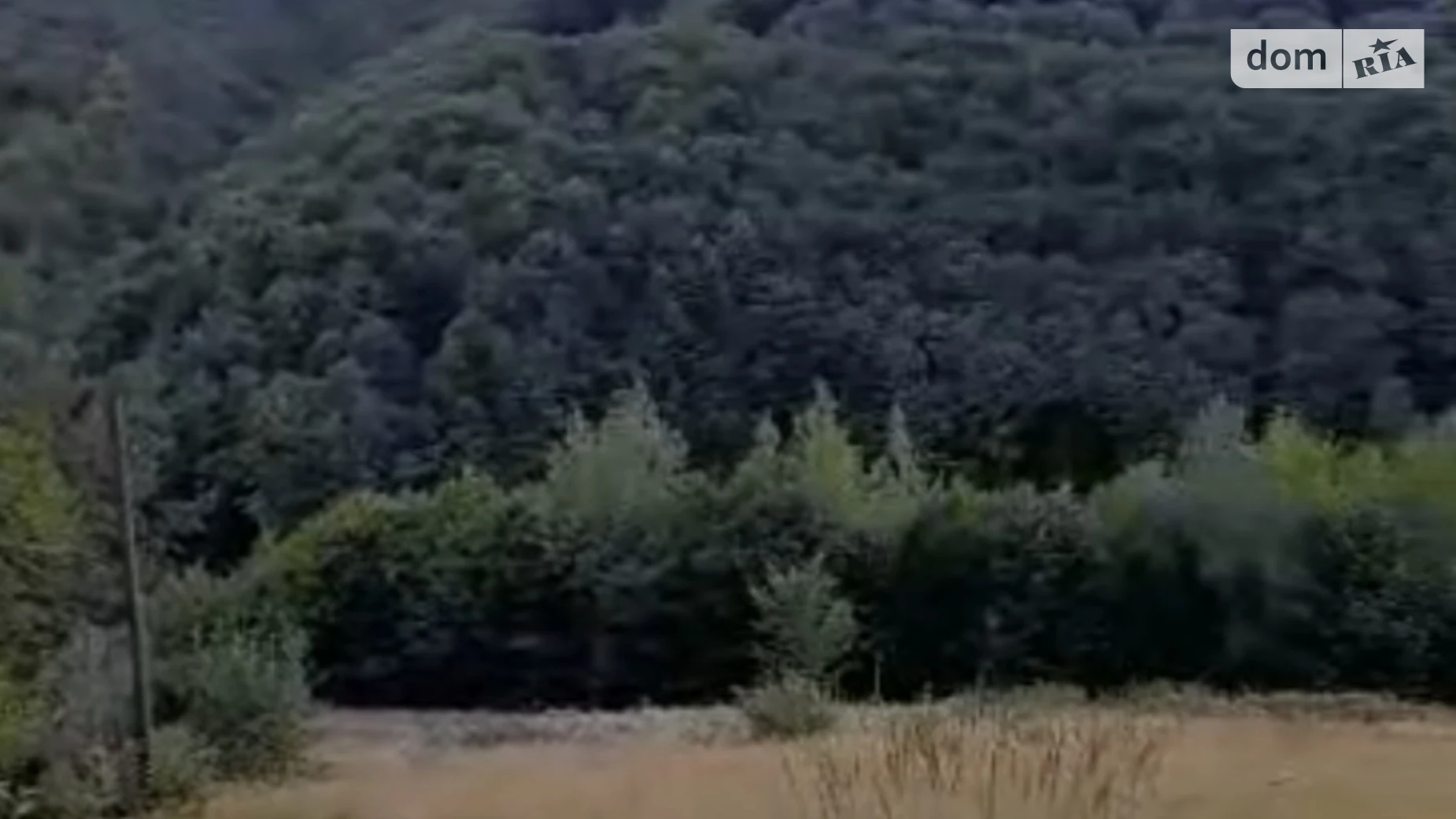 Продається земельна ділянка 71.71 соток у Івано-Франківській області, цена: 187000 $ - фото 2