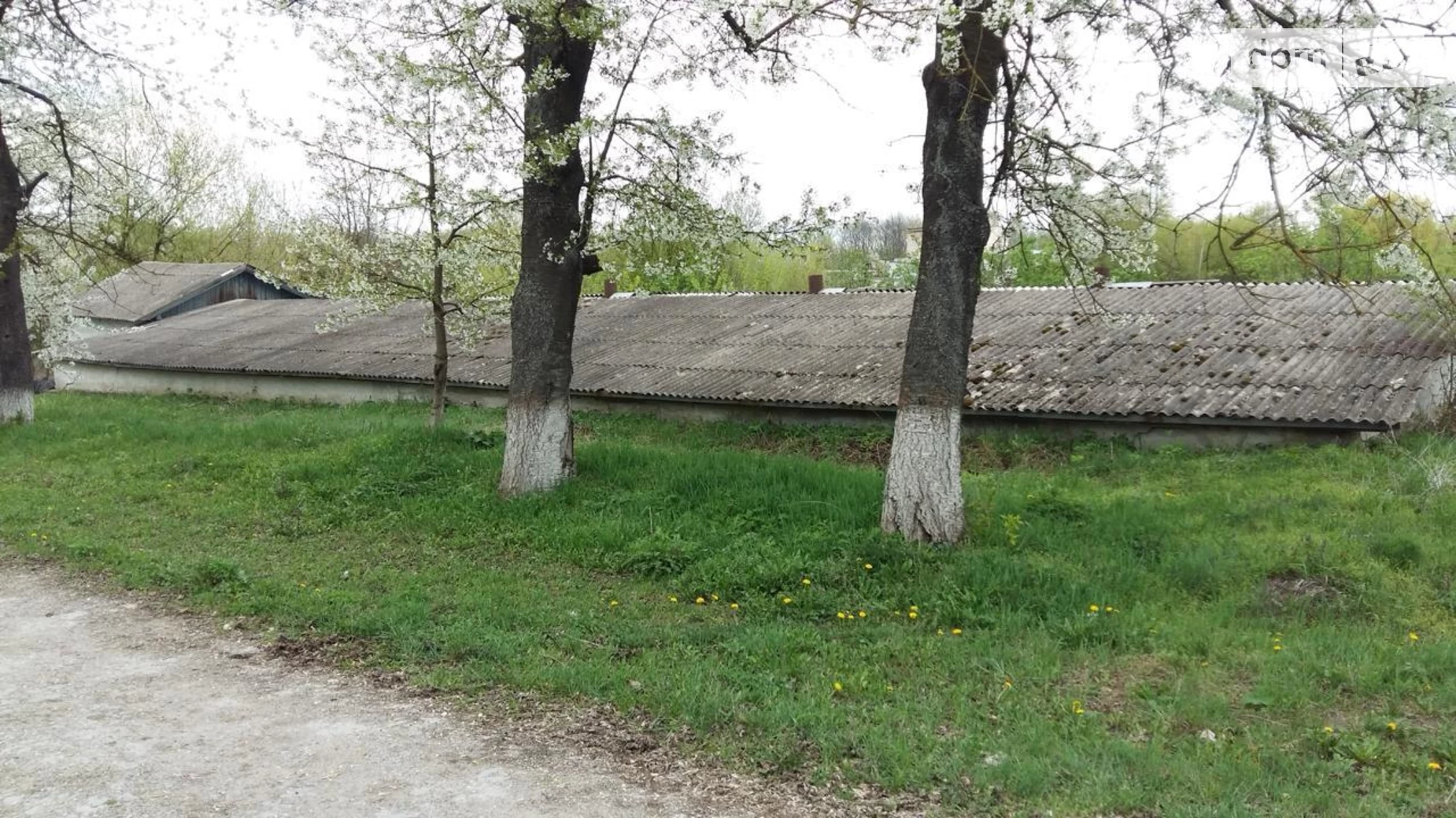 вулиця Молодіжна Мшанец (Теребовля), цена: 150000 $ - фото 3